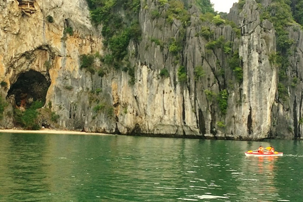 Bat Cave (Hang Doi)