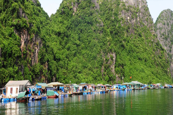 Hoa Cuong fishing village
