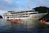 kayaking Starlight Cruise