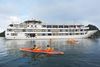 kayaking Starlight Cruise