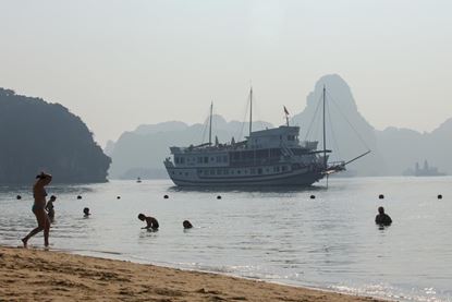 Swimming - Flamingo Cruise