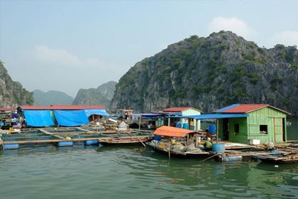 Picture for destination Cua Van Fishing Village